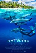 Call of the Dolphins (2025)
