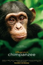 Chimpanzee (NL) poster