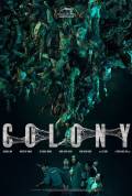 Colony