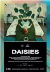 Daisies