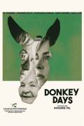 Donkey Days