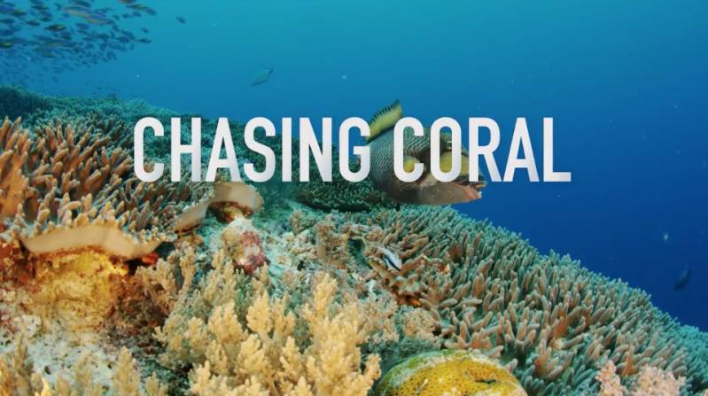 Chasing Coral wint publieksprijs InScience