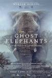 Ghost Elephants