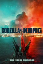 Godzilla vs. Kong 3D poster