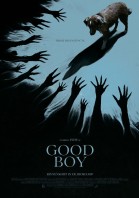 Good Boy (2025) poster