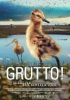 Grutto! De Reis van onze Nationale Vogel