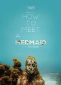 How to Meet a Mermaid (2016)