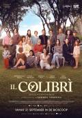 Il colibri