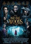 Into the Woods