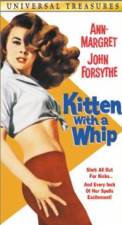 Kitten with a Whip (1964)