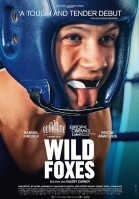 La danse des renards poster