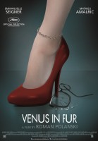 La Vénus à la fourrure poster