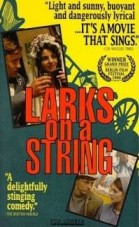 Larks on a String poster