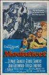 Moonfleet