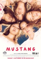 Mustang poster
