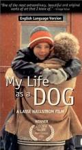 My Life as a Dog