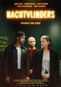 Nachtvlinders