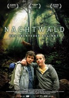 Nachtwald poster