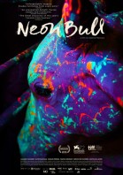 Neon Bull poster