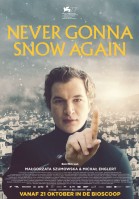 Never Gonna Snow Again poster