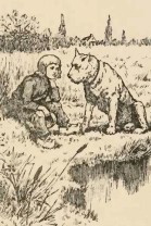Patrasche: A Dog of Flanders, Made in Japan poster