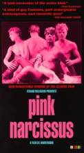 Pink Narcissus (1971)