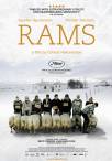 Rams