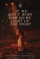 Si no ardemos, cómo iluminar la noche poster