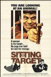 Sitting Target