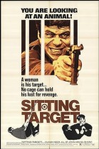 Sitting Target poster