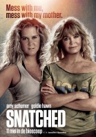 Snatched poster