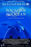 Sounds of the Ocean
