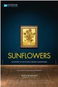 Sunflowers (Arts in Cinema)