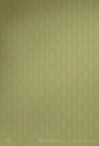 The Backrooms poster