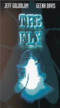 The Fly