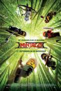 The LEGO NINJAGO Movie (2017)