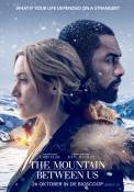 The Mountain Between Us (2017)