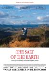 The Salt of the Earth