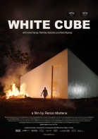 The White Cube poster