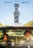 Tous les chats sont gris poster