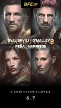 UFC 316: Dvalishvili vs. O'Malley 2 in COSM Shared Reality