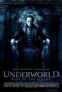 Underworld: Rise of the Lycans (2009)