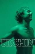 Urchin