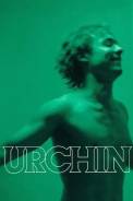Urchin