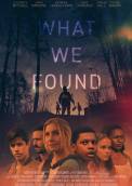 What We Found (2020)