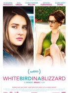 White Bird in a Blizzard poster