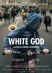 White God