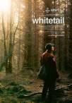Whitetail