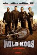 Wild Hogs (2007)