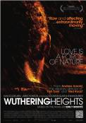 Wuthering Heights (2011)